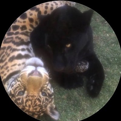 PrrivateeH's profile picture. مجموعة إنسان