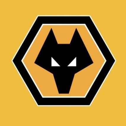 WolvesCOYW's profile picture. 26 | Munetsi Ballon d'or Winner 🏆 | Fuck off Jeff