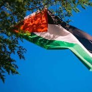 I purposely look for Israeli flagged names in the comments to shit on them with facts and irony and point out their lies, poking them where it hurts most.