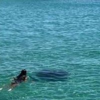 Frieeaji (@frieeaji27881) 's Twitter Profile
