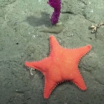 _lubso's profile picture. Actriz en formación





💗💜💙
💚💚💚