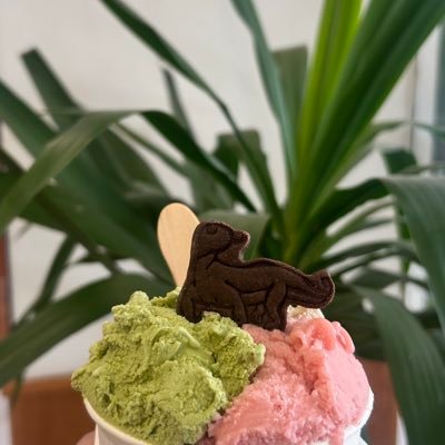 anajminurintyo's profile picture. 