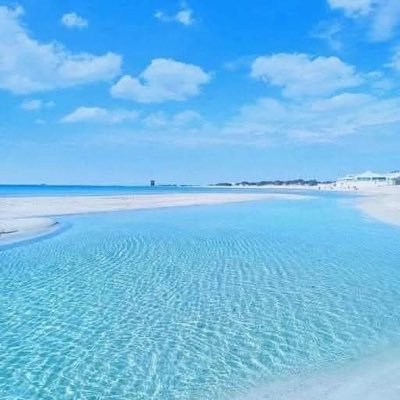 CenciGuido's profile picture. 