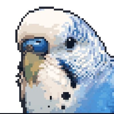 ・セキセイインコのぴーちゃん(12歳 オス) PBFD 陰転した様ですが
精巣腫瘍の可能性があるため、経過観察中です。
・NX350hFスポ ソニクロ 納車2年目です。
・ダイエット目的でクロスバイク(TREK FX3 Disc)購入しました。