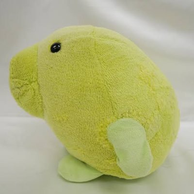 panohana_'s profile picture. 