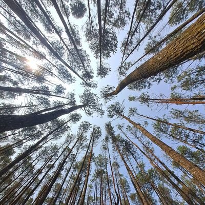 asmalisaulung's profile picture. dilarang merokok