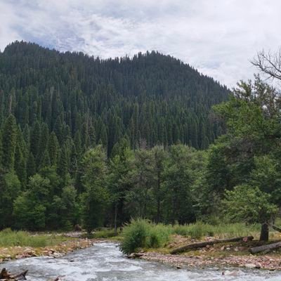 TanlisLee's profile picture. game programer