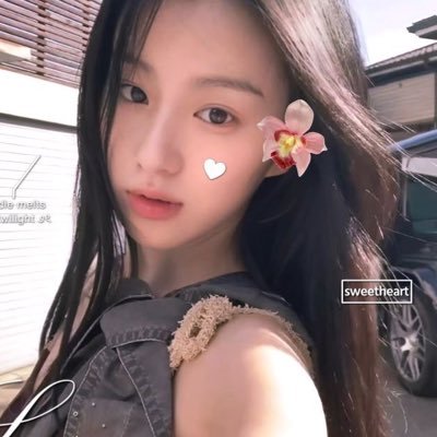 aciellosie's profile picture. White camellias — only the sound of their falling moonlit night…