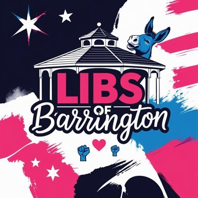 Bringing you the often unknown and surprising Barrington+nearby happenings #libsofbarrington #barringtonil