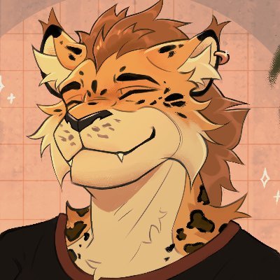 Male
Furry
College student
Asian + Puerto Rican
Gamer / Violinist / Skier