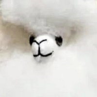 caraloh (@caralohh) 's Twitter Profile