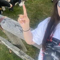ﾓ (@s2000lie) 's Twitter Profile