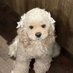 462 (@q0e0b) Twitter profile photo 462 (@q0e0b) Twitter profile photo