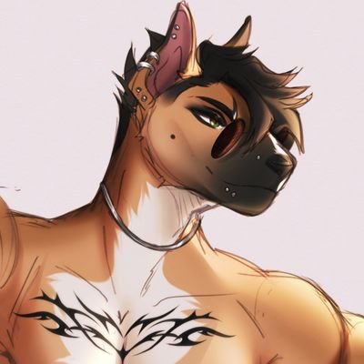 COUGARCVLT's profile picture. ‧₊˚ ☁️⋅ '98 • @novemorti's priv ♡𓂃 ࣪ ִֶָ☾.