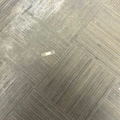 bandaidfloor's profile picture. just a bandaid living its best life on the floor of a public school in Illinois