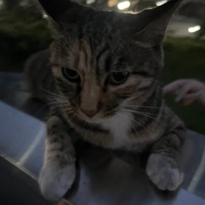 SLGW_'s profile picture. 20↑/Thank U/自娱自乐