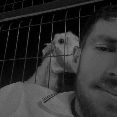 TSiyamed's profile picture. 2+2=1 ☀️