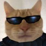 Deneval (@deneval4) 's Twitter Profile