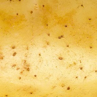 andthedropout's profile picture. 