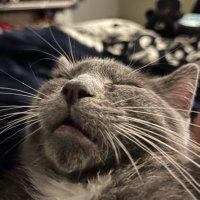 DUSTY (@dusterdusty) 's Twitter Profile