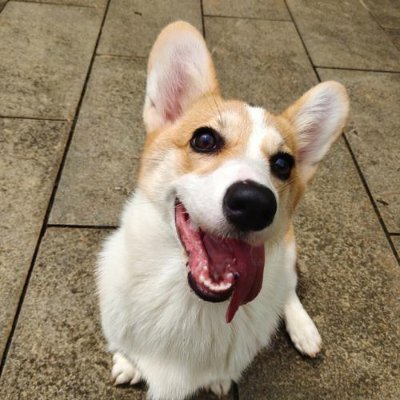 rvqnxwpgvw's profile picture. 花のように穏やかに、コーヒーのように深く。そんな時間が好き。