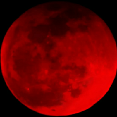 GanstaMan1337's profile picture. 