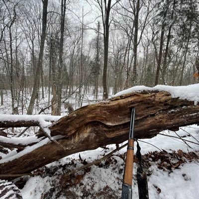 CaseySP's profile picture. Husband. Father.