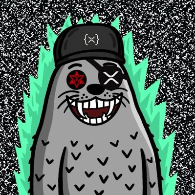 $quirtle Profile
