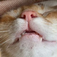 ML32.93 (@lulin_mun) 's Twitter Profile Photo ML32.93 (@lulin_mun) 's Twitter Profile Photo
