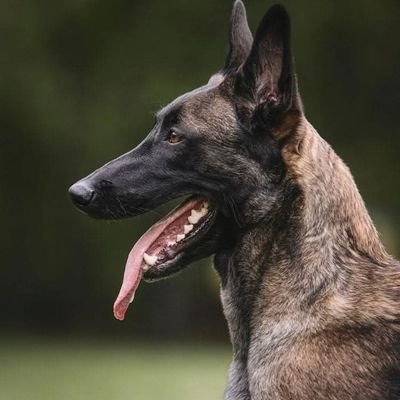 briones_JuanCo's profile picture. 