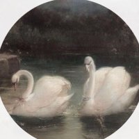 مدري (@ax11ax00) 's Twitter Profile