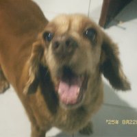 Melcocha (@melcochaxx) 's Twitter Profile