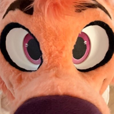 orange puppy dog fursuiter!!! 18 he/him (🔞 i will be occasionally suggestive)