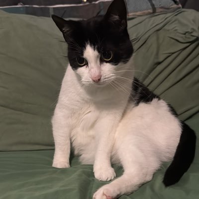 SoniaHussain_x's profile picture. 