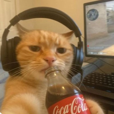 farsqwertvvh's profile picture. 
