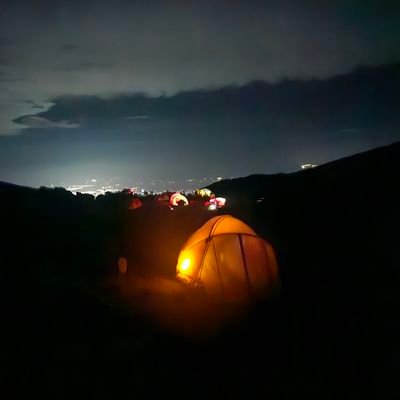 313ICP's profile picture. If only you'd go further. You'd see what I see. But if you go further still, take me with you.