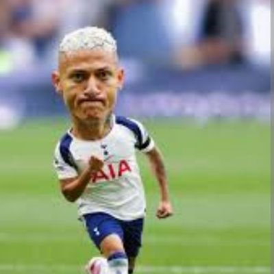 Father, Spurs supporter. work for a global media, sports & entertainment company.