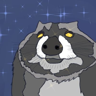 I'm a raccoon with internet access and art supplies