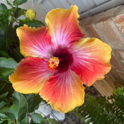 coachimprove's profile picture. 