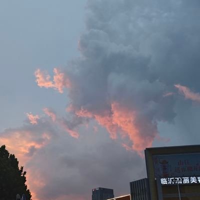 east_c2006's profile picture. 18 190+，锻炼身体中，from⛰️东。五年老账号被Elon🐴斯克弄没了😭