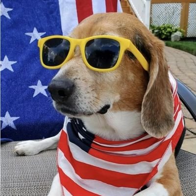 maxisabel's profile picture. Uribista seguidora y discípula de Jesús