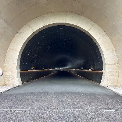 gliu810's profile picture. Former Head of Research at Social Capital