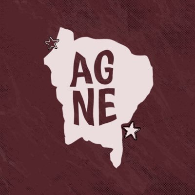 Primeiro e único portal nordestino dedicado a multi-artista Any Gabrielly.
