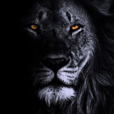 HHSaglam's profile picture. Bilgisayar Mühendisi #yazılım
Kız babası #Miray ♥️
Bizi sevenleri üzmeyelim baba... #Galatasaray #Düzce #TR54 #TR7