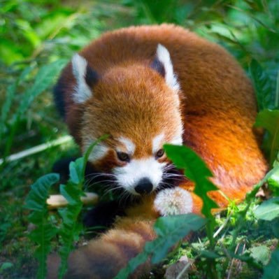 RobinKindel's profile picture. 