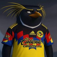 Rillo (@bigrillo13) 's Twitter Profile