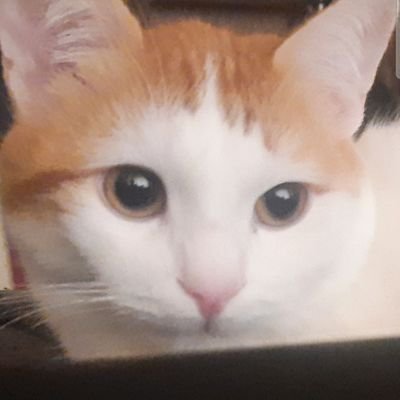 starwaswaiting's profile picture. 
