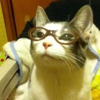 ayran (@giwwwft23) 's Twitter Profile