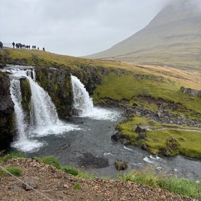 Lmuschel's profile picture. 