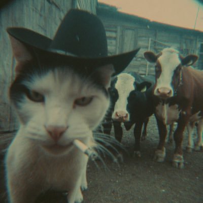 testnetRFQ's profile picture. 